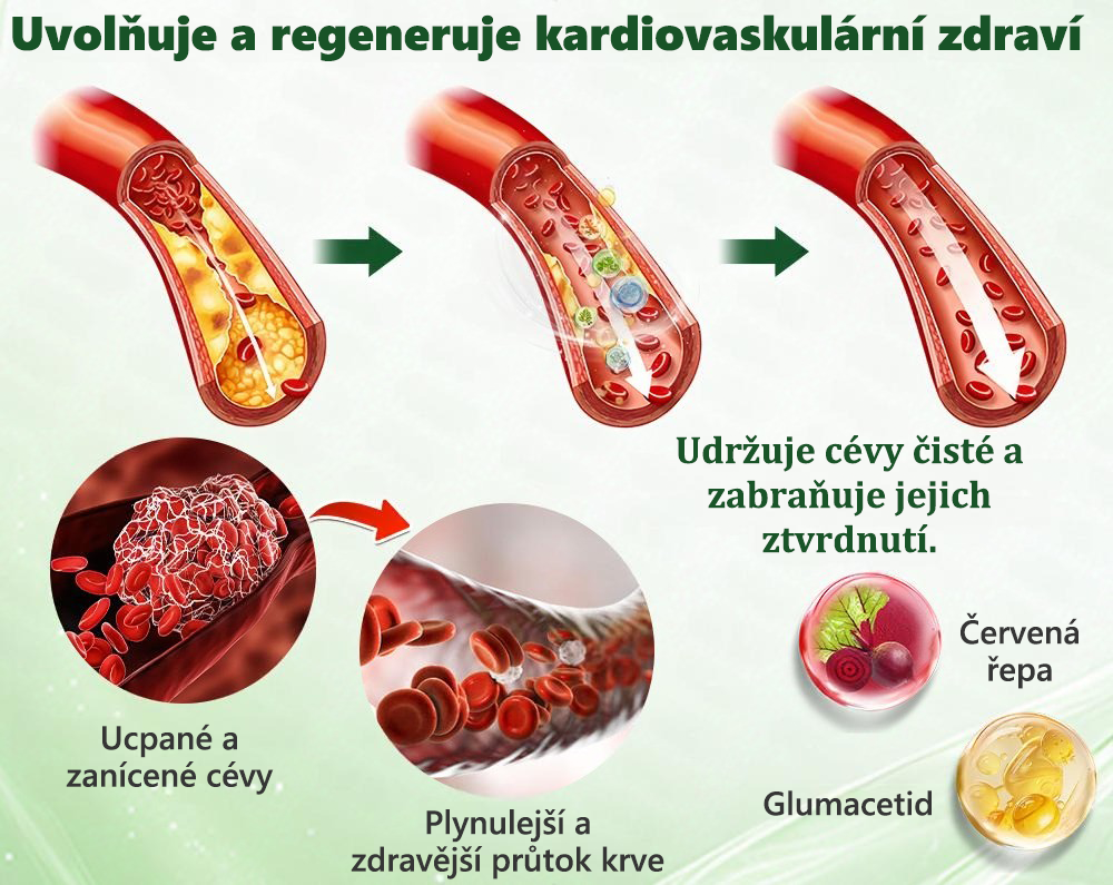 🍀🛡️ Oficiální vlajkový obchod | 💜💜 𝑨𝑵𝑮𝑬𝑳𝑻𝑹𝑨𝑷® Moringa × berberin × AMPK 10 v 1 — nanomikrojehličkové náplasti na podporu hubnutí 🇨🇿 Stačí 1× denně ✅ Výsledky již za 7 dní — podpora při nadváze, pro zdraví srdce a cév a péči o klouby