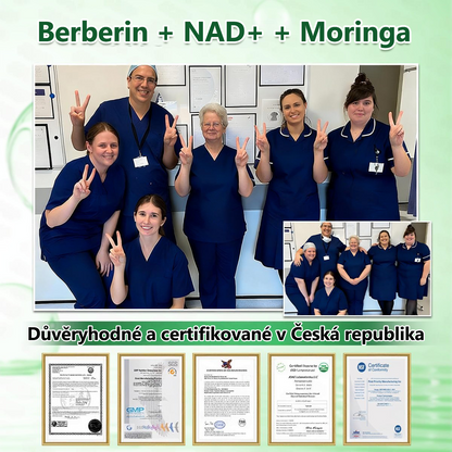 🍀🛡️ Oficiální vlajkový obchod | 💜💜 𝑨𝑵𝑮𝑬𝑳𝑻𝑹𝑨𝑷® Moringa × berberin × AMPK 10 v 1 — nanomikrojehličkové náplasti na podporu hubnutí 🇨🇿 Stačí 1× denně ✅ Výsledky již za 7 dní — podpora při nadváze, pro zdraví srdce a cév a péči o klouby