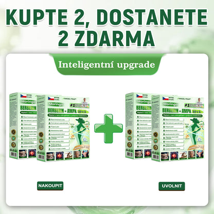 🍀🛡️ Oficiální vlajkový obchod | 💜💜 𝑨𝑵𝑮𝑬𝑳𝑻𝑹𝑨𝑷® Moringa × berberin × AMPK 10 v 1 — nanomikrojehličkové náplasti na podporu hubnutí 🇨🇿 Stačí 1× denně ✅ Výsledky již za 7 dní — podpora při nadváze, pro zdraví srdce a cév a péči o klouby