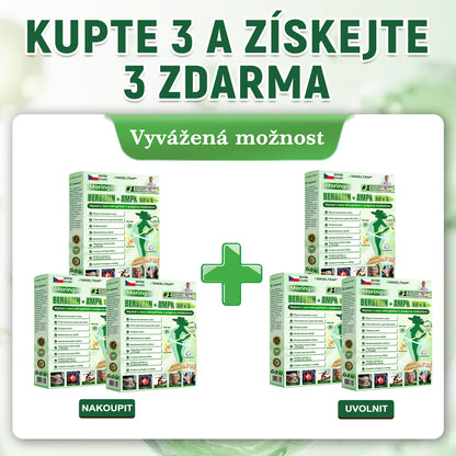 🍀🛡️ Oficiální vlajkový obchod | 💜💜 𝑨𝑵𝑮𝑬𝑳𝑻𝑹𝑨𝑷® Moringa × berberin × AMPK 10 v 1 — nanomikrojehličkové náplasti na podporu hubnutí 🇨🇿 Stačí 1× denně ✅ Výsledky již za 7 dní — podpora při nadváze, pro zdraví srdce a cév a péči o klouby