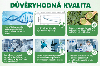 🍀🛡️ Oficiální vlajkový obchod | 💜💜 𝑨𝑵𝑮𝑬𝑳𝑻𝑹𝑨𝑷® Moringa × berberin × AMPK 10 v 1 — nanomikrojehličkové náplasti na podporu hubnutí 🇨🇿 Stačí 1× denně ✅ Výsledky již za 7 dní — podpora při nadváze, pro zdraví srdce a cév a péči o klouby