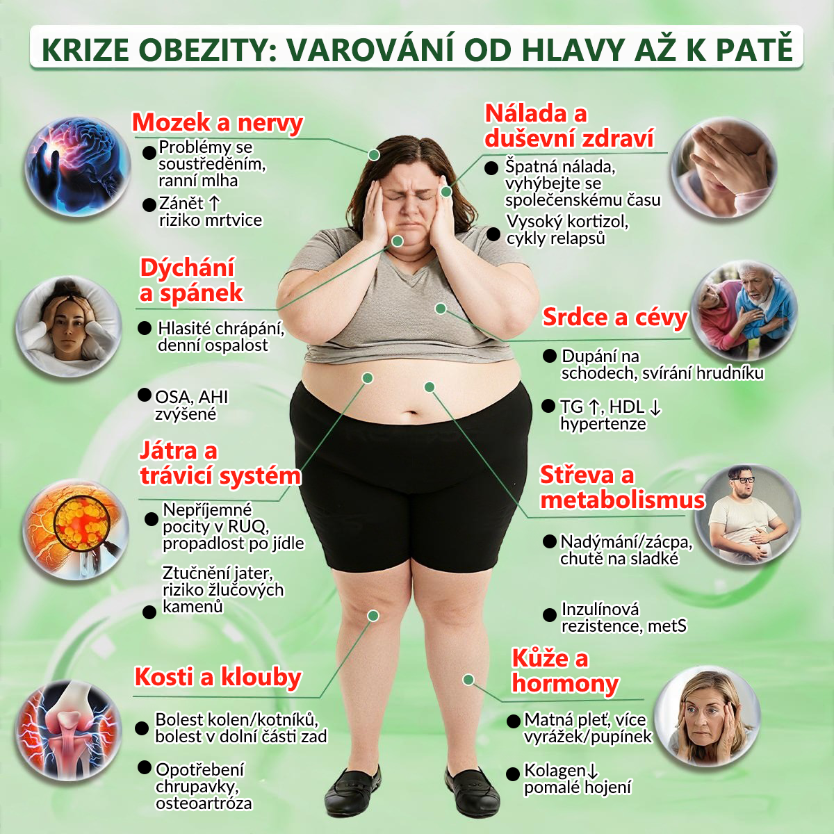 🍀🛡️ Oficiální vlajkový obchod | 💜💜 𝑨𝑵𝑮𝑬𝑳𝑻𝑹𝑨𝑷® Moringa × berberin × AMPK 10 v 1 — nanomikrojehličkové náplasti na podporu hubnutí 🇨🇿 Stačí 1× denně ✅ Výsledky již za 7 dní — podpora při nadváze, pro zdraví srdce a cév a péči o klouby