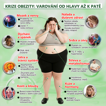🍀🛡️ Oficiální vlajkový obchod | 💜💜 𝑨𝑵𝑮𝑬𝑳𝑻𝑹𝑨𝑷® Moringa × berberin × AMPK 10 v 1 — nanomikrojehličkové náplasti na podporu hubnutí 🇨🇿 Stačí 1× denně ✅ Výsledky již za 7 dní — podpora při nadváze, pro zdraví srdce a cév a péči o klouby