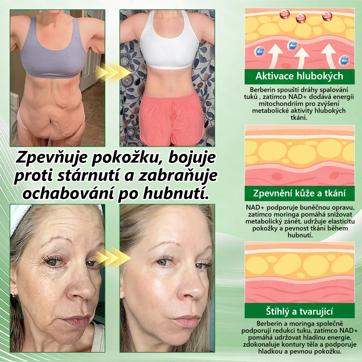 🍀🛡️ Oficiální vlajkový obchod | 💜💜 𝑨𝑵𝑮𝑬𝑳𝑻𝑹𝑨𝑷® Moringa × berberin × AMPK 10 v 1 — nanomikrojehličkové náplasti na podporu hubnutí 🇨🇿 Stačí 1× denně ✅ Výsledky již za 7 dní — podpora při nadváze, pro zdraví srdce a cév a péči o klouby